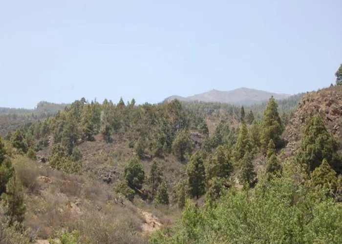 Sofia House With Pool In *