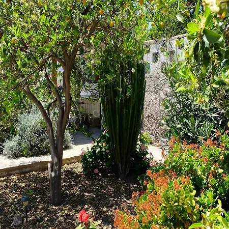 Sofia House With Pool In גרנדילה דה אבונה